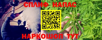 PSILOCYBIN Бийск