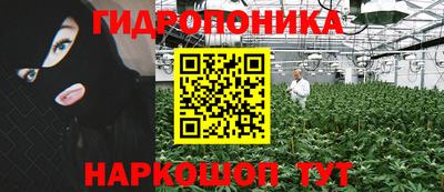 PSILOCYBIN Бийск
