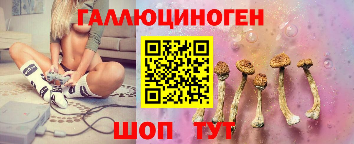 Гусиноозёрск  Галлюциногенные грибы мицелий  Вход с VPN 